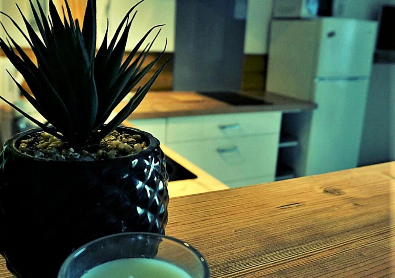 Poe Matie Cosy Studio Papeete, Entre Mer Et Montagne, Proche Centre Ville パペーテ エクステリア 写真